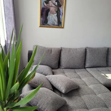 King Panorama Mit Netflix *