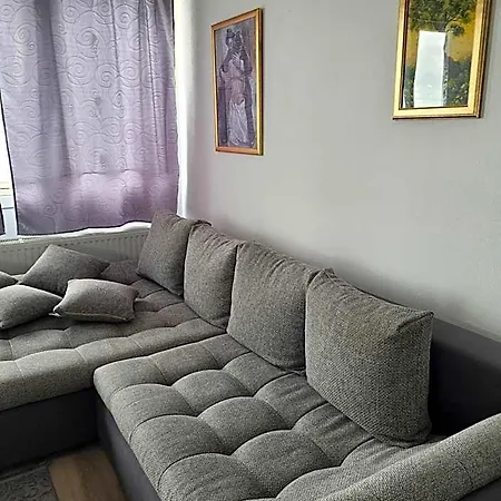 King Panorama Mit Netflix