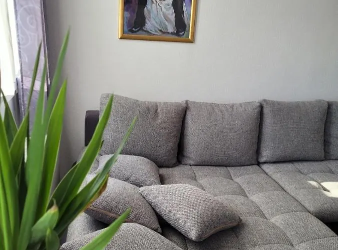 King Panorama Mit Netflix *
